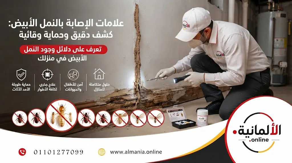 مكافحة النمل الأبيض